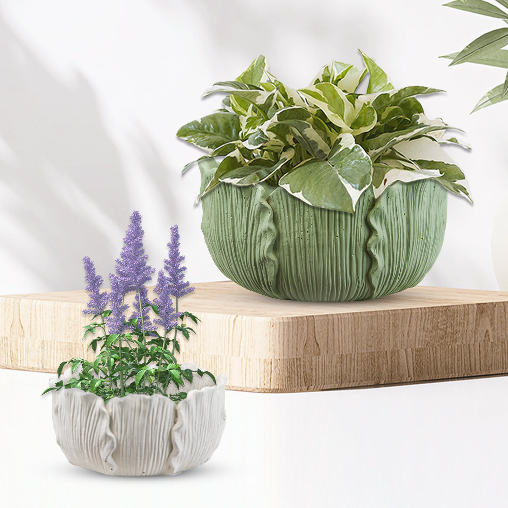 Leaf Ceramic Bowl - Wholesale Ceramic Planters, Bulk Ceramic Pots & Decorative Pottery for Home Decor Industry | Unlimited Containers Inc