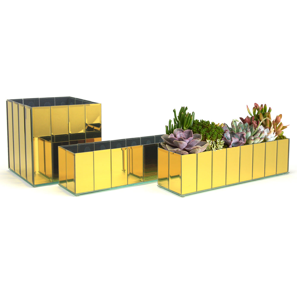 Segmented Mirror Glass Aquarium - Wholesale Glass Floral Vases, Colorful Flower Vessels in Bulk & Decorative Containers For Florists | Unlimited Containers Inc