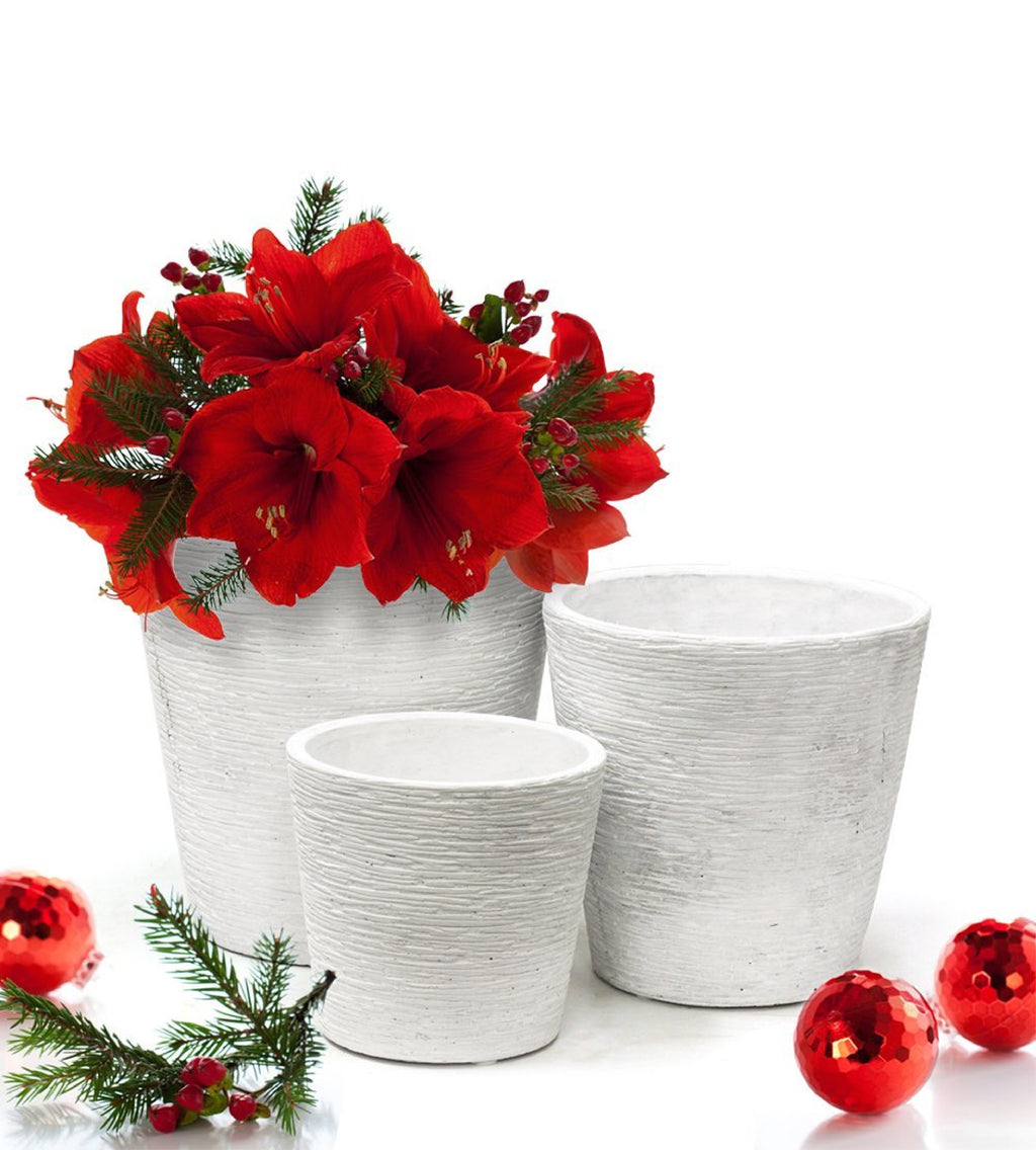 Ravine Collection Pots (with Liner) - Wholesale Ceramic Planters, Bulk Ceramic Pots & Decorative Pottery for Home Decor Industry | Unlimited Containers Inc