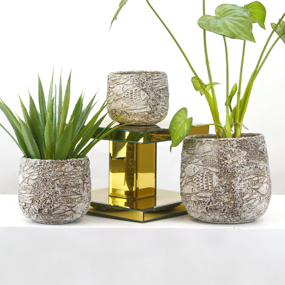 Fossil Collection - Wholesale Ceramic Planters, Bulk Ceramic Pots & Decorative Pottery for Home Decor Industry | Unlimited Containers Inc