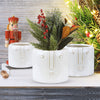 Bewildered Pots - Modern Ceramic Planters | Unlimited Containers | Wholesale Decorative Ceramic Planters For Florists