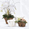 Enchanted Collection - Wholesale Poly Resin Vases for Flowers, Designer Poly Resin Columns, Aesthetic Stands and Modern Centerpieces in Bulk for Home Decor Industry | Unlimited Containers Inc
