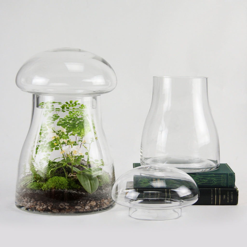 Glass Mushroom Terrarium - Decorative Glass Floral Vase | Unlimited Containers | Wholesale Vases For Florists