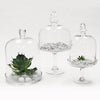 Cloche - Wholesale Glass Floral Vases, Colorful Flower Vessels in Bulk & Decorative Containers For Florists | Unlimited Containers Inc