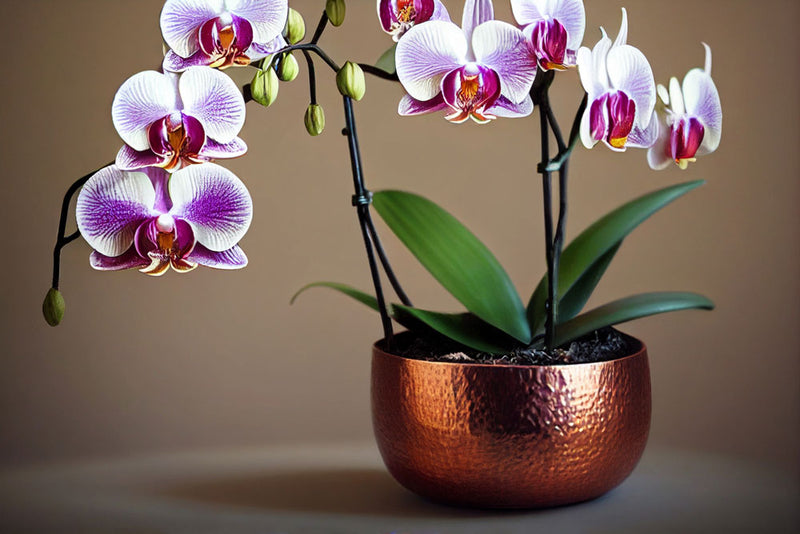 Drive Your Decor Business With Elegant Metal Flower Vases