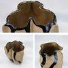 Harmonious Fusion Organic Collection - Modern Ceramic Planters | Unlimited Containers | Wholesale Decorative Ceramic Planters For Florists