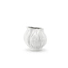 Verdant Bulb Collection