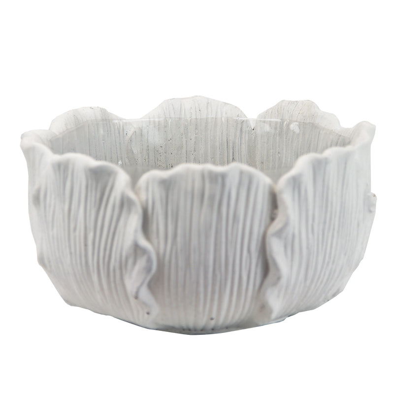 Decorative Ceramic Planters in Bulk | Unlimited Containers | Colorful Pottery Vessels for Flower Shops