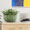 Elegant Ceramic Pots for Plants| Unlimited Containers | Ceramic Planters for Visual Display Industry