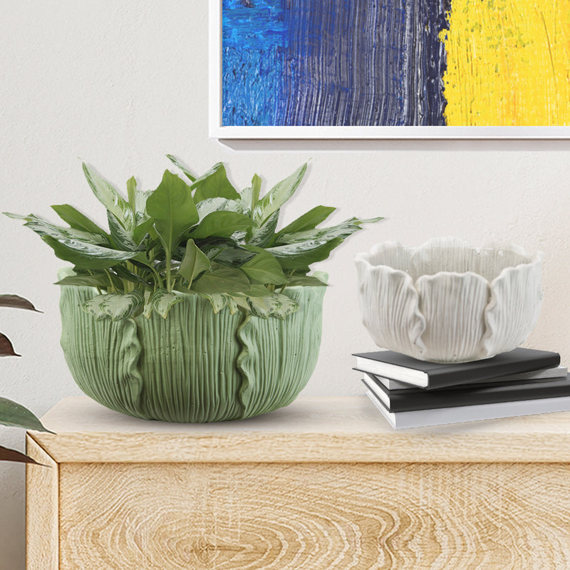Elegant Ceramic Pots for Plants| Unlimited Containers | Ceramic Planters for Visual Display Industry