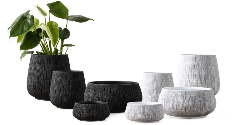 Zen Collection