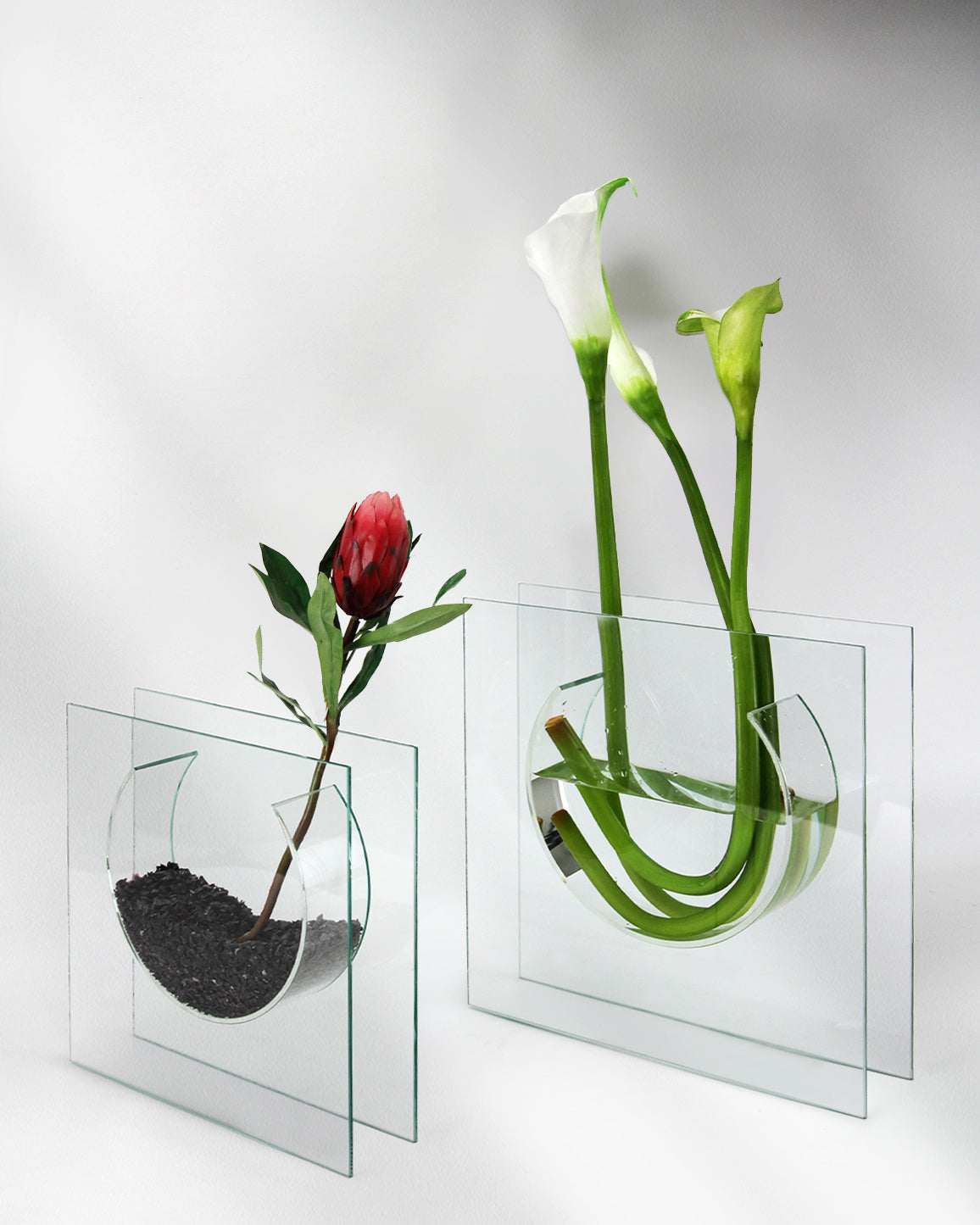 Designer's Collection of Decorative Glass Vases