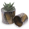 Wholesale Ceramic Plant Pots | Unlimited Containers | Aesthetic Planters for Home Decor Companies