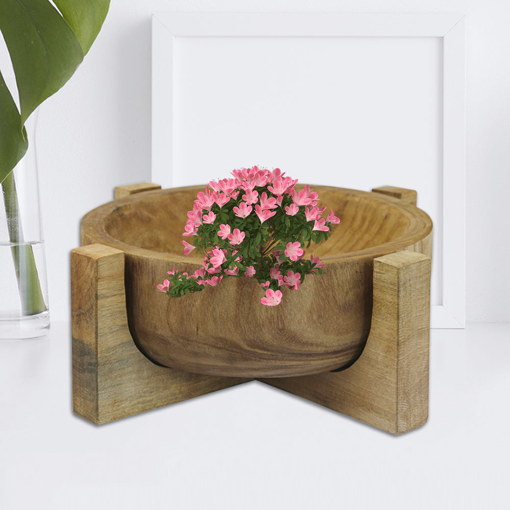Round Wood Bowl - Wholesale Decorative Wooden Pots & Planters, Wood Columns, Natural Wood Plant Stands, Log Decor Home Accents in Bulk | Unlimited Containers Inc