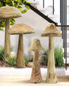Wooden Mushroom