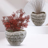 Wholesale Decorative Ceramic Planters | Unlimited Containers | Functional Pottery for Home Decor Industry