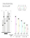 Grand Prism Acrylic Candelabra