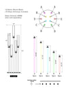 Grand Prism Acrylic Candelabra