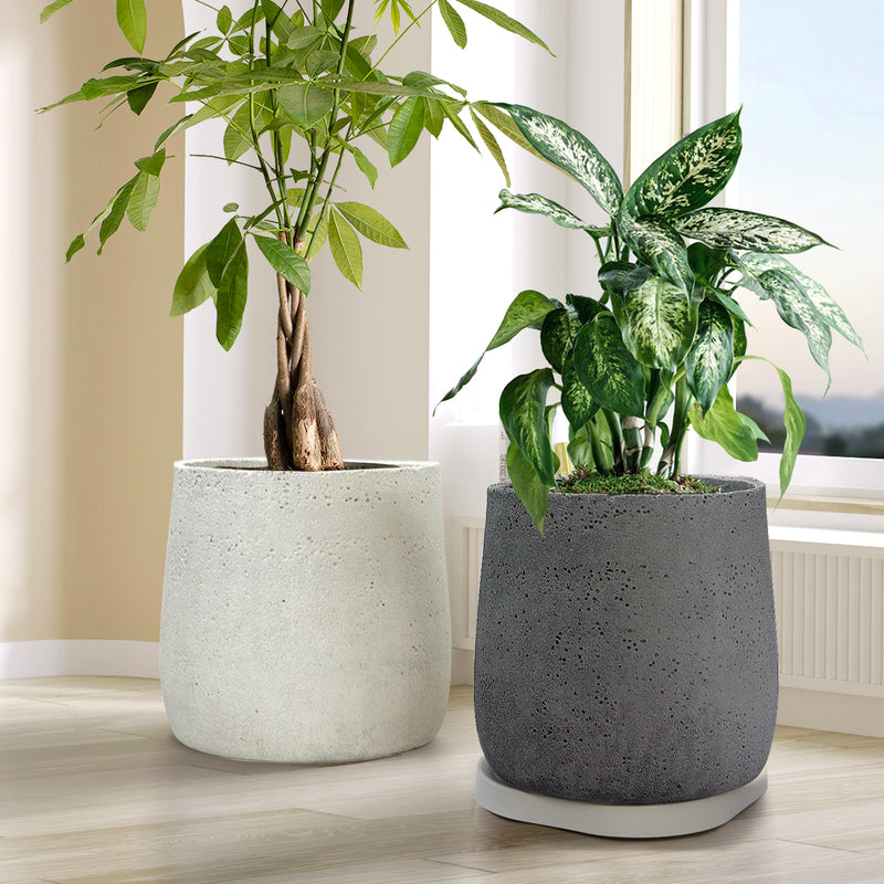 Cement Floor Planters
