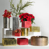 Etched Metallic Red  Cube & Squares Collection