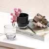 Kartell Mini Glass Vase