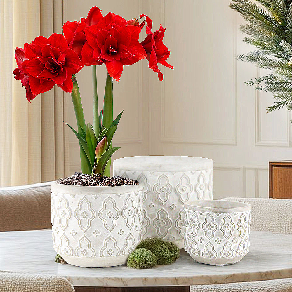 Ornament Relief Planters