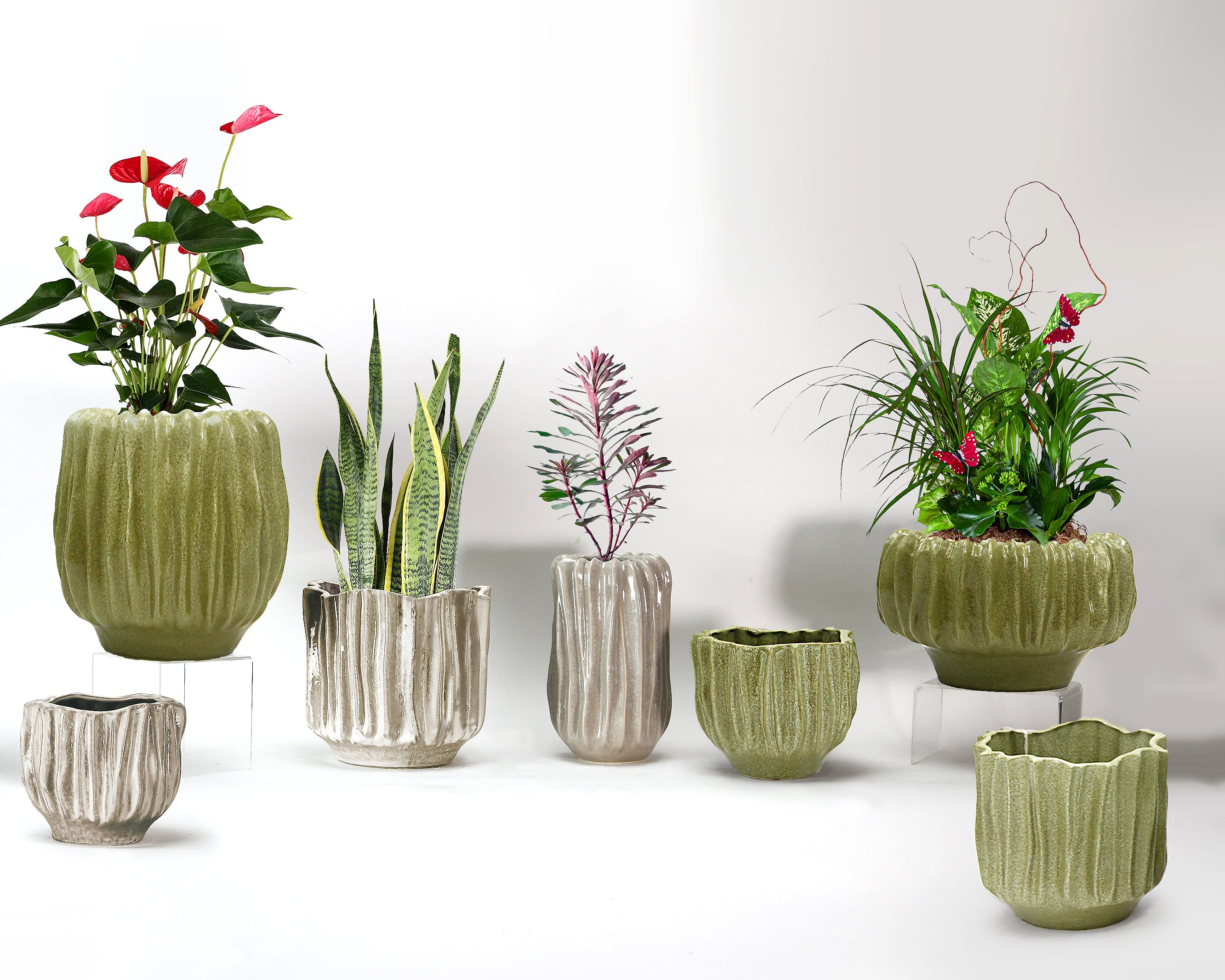 Ceramic Orchid Pots & Planters Wholesale