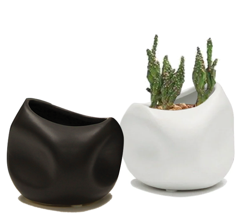 Organic Collection Vases