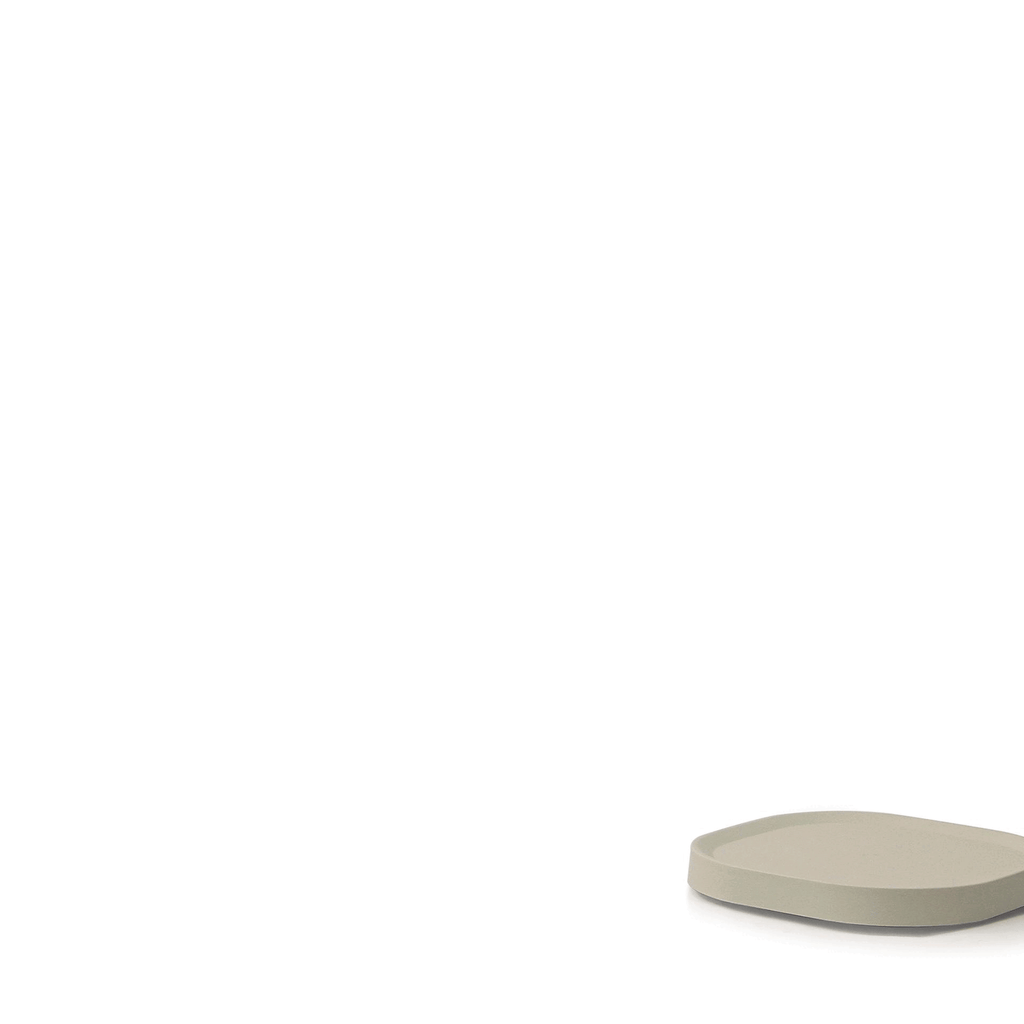 Naso Plant Caddy