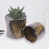 Wholesale Decorative Ceramic Planters | Unlimited Containers | Functional Pottery for Home Decor Industry