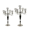 Crystal Candelabra and Stand