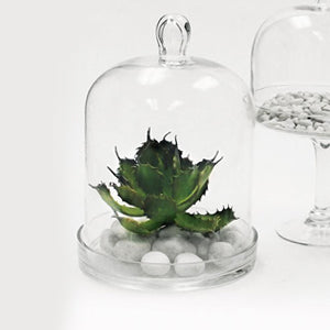 Cloche