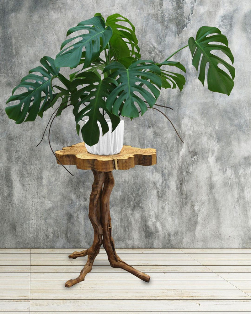 R3981, 82 - Wholesale Decorative Wooden Pots & Planters, Wood Columns, Natural Wood Plant Stands, Log Decor Home Accents in Bulk | Unlimited Containers Inc