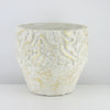 Wholesale Ceramic Plant Pots | Unlimited Containers | Aesthetic Planters for Home Decor Companies