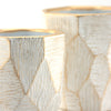 Designer Ceramic Planters | Unlimited Containers | Decorative Ceramic Pot Bulk Supplier