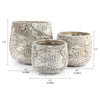 Bulk Decorative Ceramic Pots For Plants | Unlimited Containers | Ornamental Ceramic Containers for Home Decor Industry
