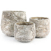 Fossil Collection - Modern Ceramic Planters | Unlimited Containers | Wholesale Decorative Ceramic Planters For Florists