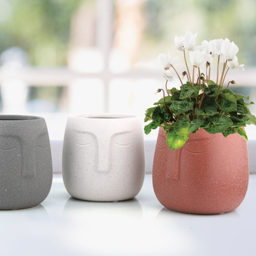 plant pot face Mini Face Ceramic Orchid Pots
