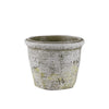 Decorative Ceramic Planters in Bulk | Unlimited Containers | Colorful Pottery Vessels for Flower Shops