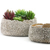 Igneous Collection - Modern Ceramic Planters | Unlimited Containers | Wholesale Decorative Ceramic Planters For Florists