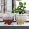Mini Leg Planter - Modern Ceramic Planters | Unlimited Containers | Wholesale Decorative Ceramic Planters For Florists