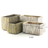 Decorative Ceramic Planters in Bulk | Unlimited Containers | Colorful Pottery Vessels for Flower Shops