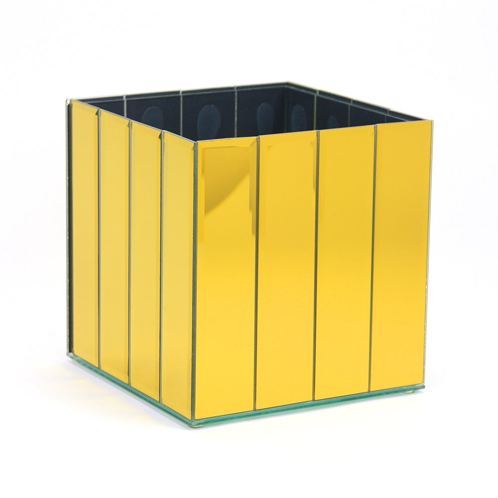 Segmented Mirror Glass Aquarium