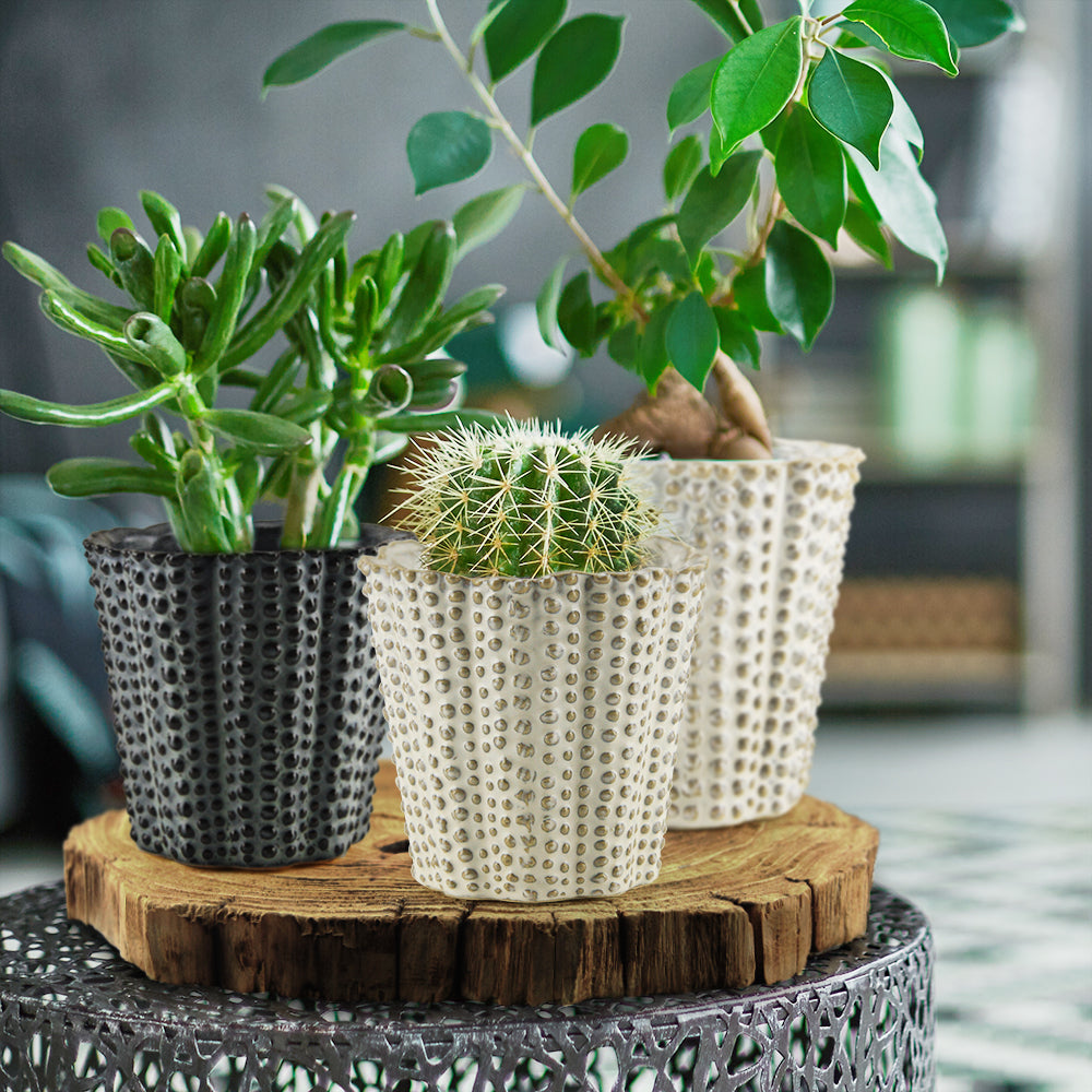 Bulk Decorative Ceramic Pots For Plants | Unlimited Containers | Ornamental Ceramic Containers for Home Decor Industry