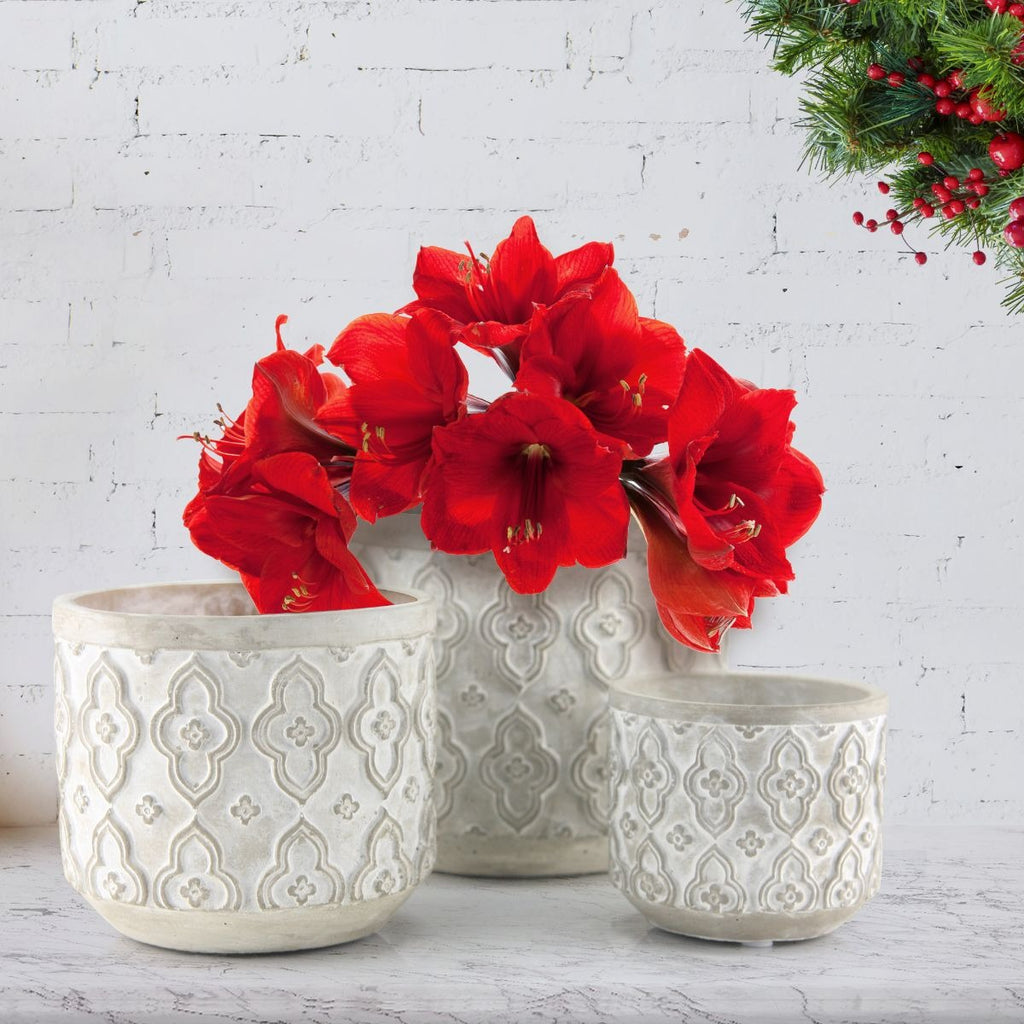 Ornament Relief Planters - Wholesale Ceramic Planters, Bulk Ceramic Pots & Decorative Pottery for Home Decor Industry | Unlimited Containers Inc