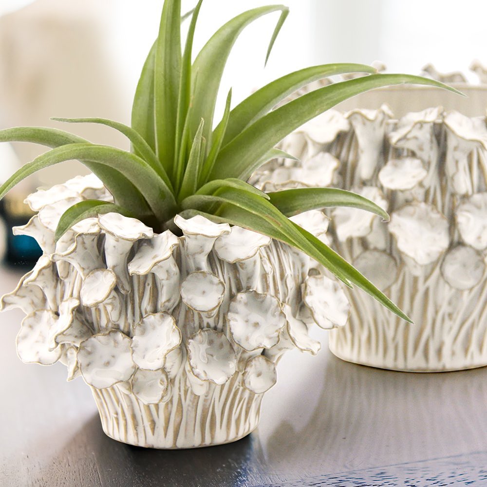 Bulk Decorative Ceramic Pots For Plants | Unlimited Containers | Ornamental Ceramic Containers for Home Decor Industry