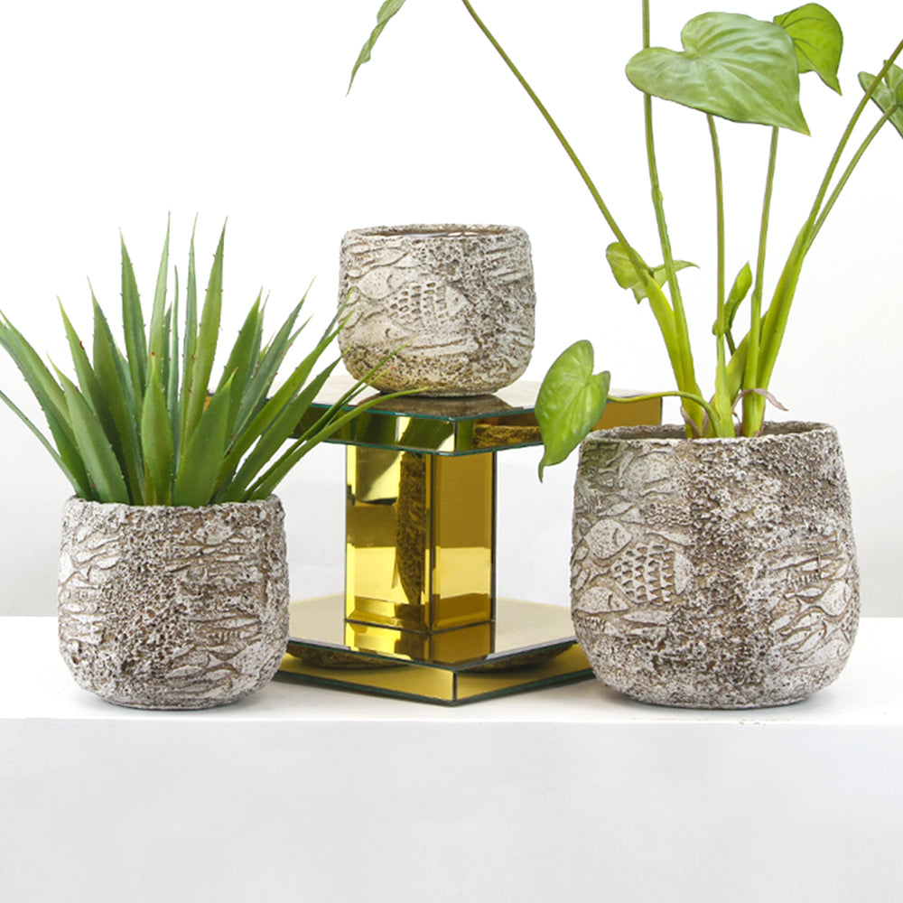 Wholesale Decorative Ceramic Planters | Unlimited Containers | Functional Pottery for Home Decor Industry