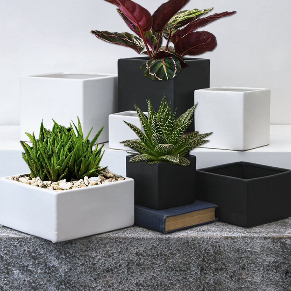 modern plant pot indoor 6.5 Inch Ceramic Cube Planter – Contemporary Ceramic Square, Modern Plants