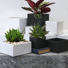 Unique Ceramic Planters | Unlimited Containers | Wholesale Ceramic Pots for Florists