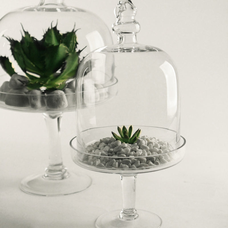 Cloche - Wholesale Glass Floral Vases, Colorful Flower Vessels in Bulk & Decorative Containers For Florists | Unlimited Containers Inc